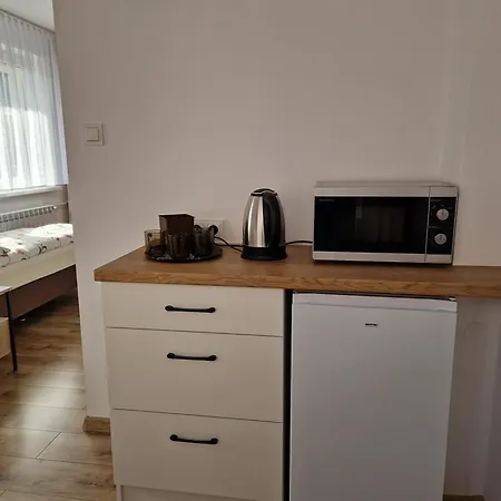 Проживание в семье U Anny